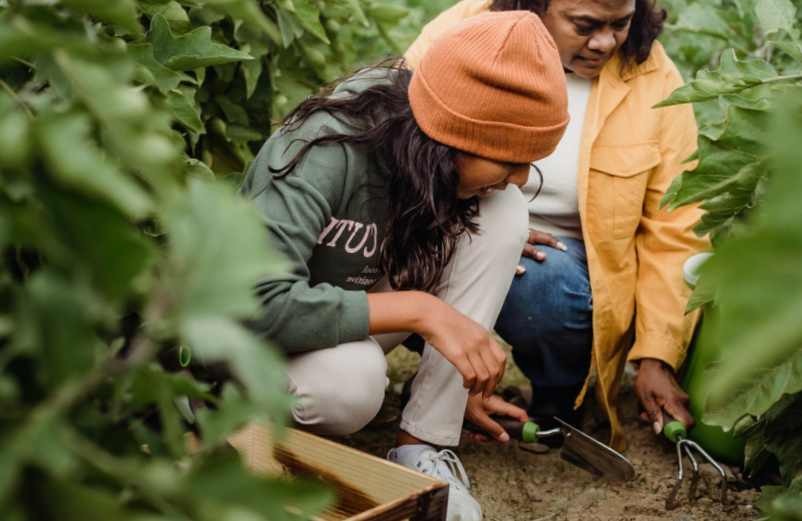 Jardin en pente : solutions pour l’aménager et le rendre utile Jardin en pente : solutions pour l’aménager et le rendre utile