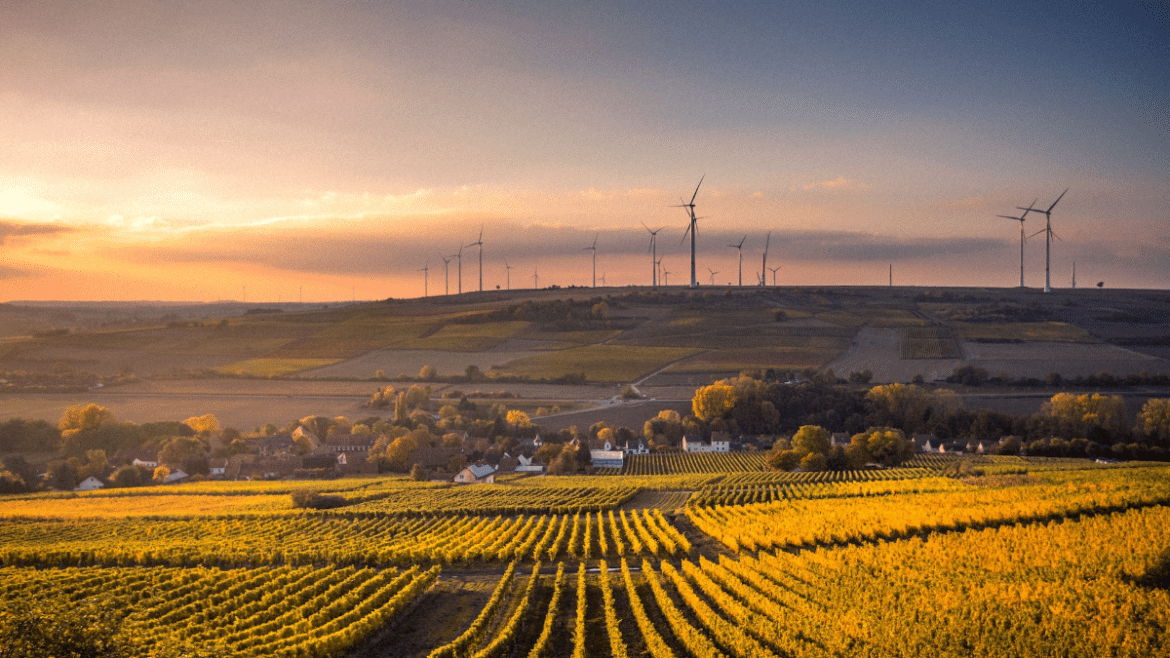 Les bienfaits des énergies renouvelables pour l'environnement