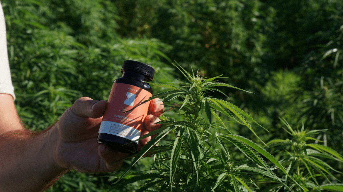 La résine de CBD La résine de CBD